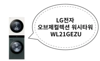 언니가 추천할게~! WL21GEZU 후기