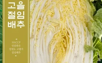 오늘구매! 고랭지절임배추 할인좌표 공유합니다~