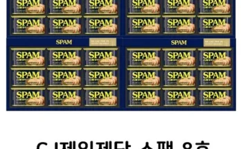 인싸템~~ 스팸청룡에디션 넘 좋은거 같아요